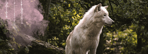 Krafttier Wolf