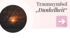 weiter zum Traumsymbol Dunkelheit